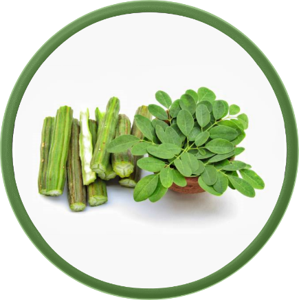 Fresh Moringa